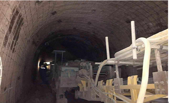 真功夫！物美價廉的“穿山甲”