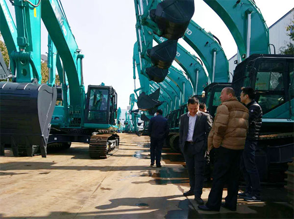 快來(lái)看，快來(lái)看，這里有一群綠精靈