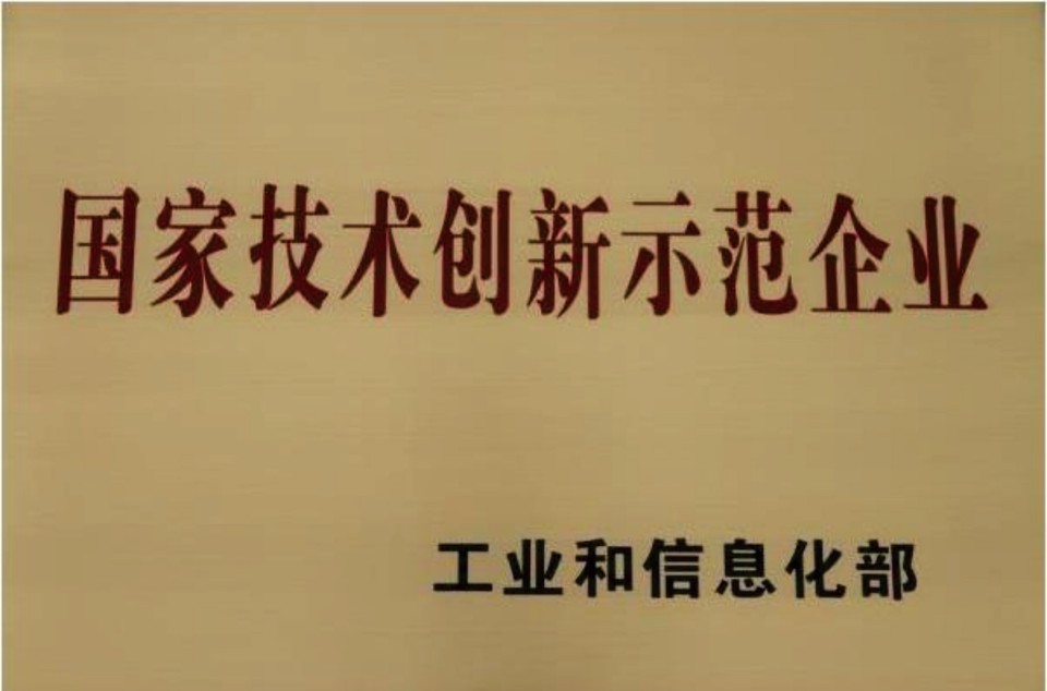 國(guó)家技術(shù)創(chuàng)新示范企業(yè)